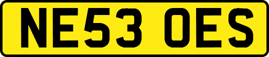 NE53OES