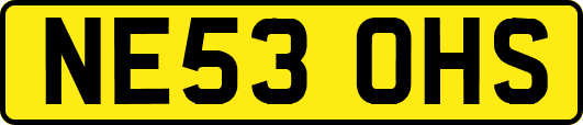 NE53OHS