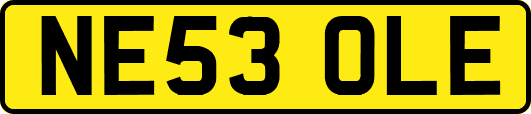 NE53OLE