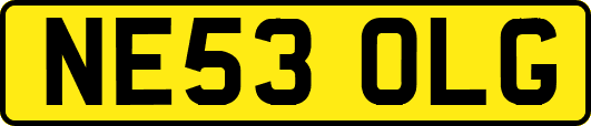 NE53OLG