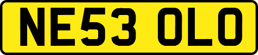 NE53OLO