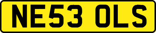 NE53OLS