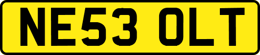 NE53OLT
