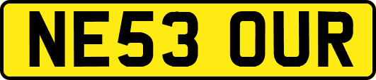 NE53OUR