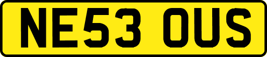 NE53OUS