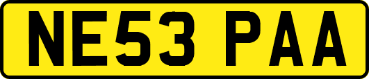NE53PAA