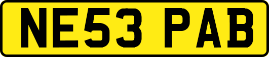 NE53PAB