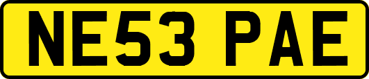 NE53PAE