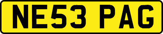 NE53PAG