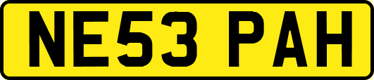 NE53PAH
