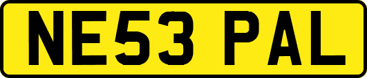 NE53PAL