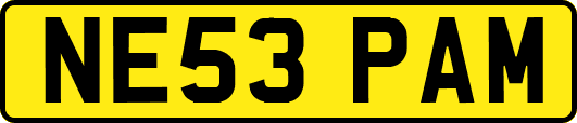 NE53PAM