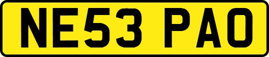 NE53PAO