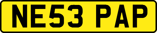 NE53PAP