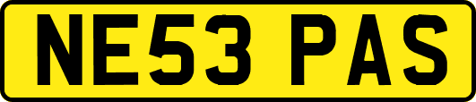 NE53PAS