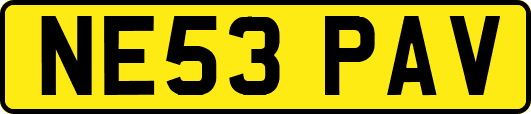 NE53PAV