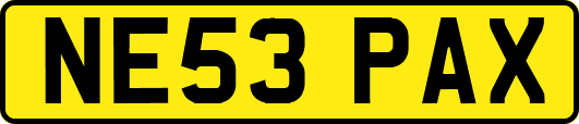 NE53PAX