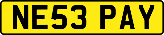 NE53PAY