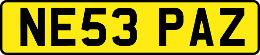 NE53PAZ