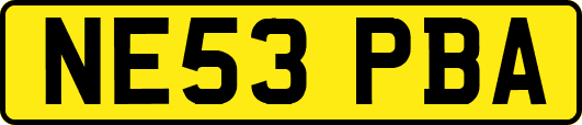 NE53PBA