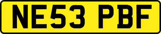 NE53PBF
