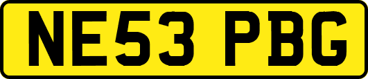 NE53PBG