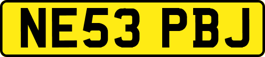 NE53PBJ