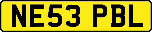 NE53PBL