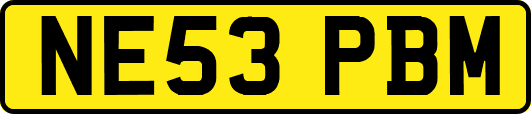 NE53PBM