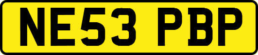 NE53PBP