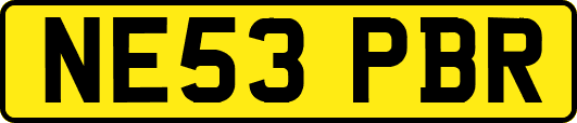 NE53PBR