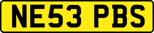 NE53PBS