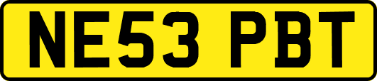 NE53PBT