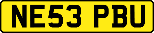 NE53PBU