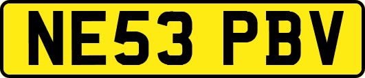 NE53PBV