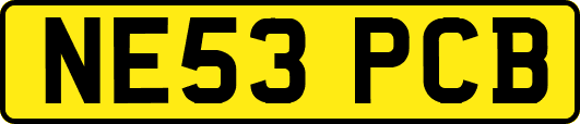 NE53PCB