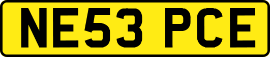NE53PCE