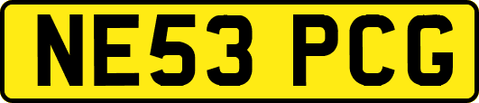 NE53PCG