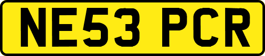 NE53PCR