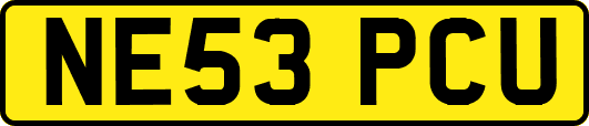 NE53PCU