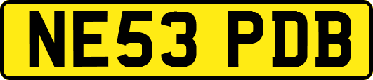 NE53PDB