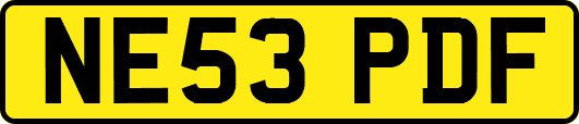 NE53PDF