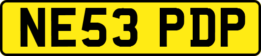 NE53PDP