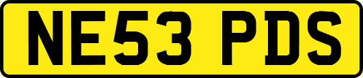 NE53PDS
