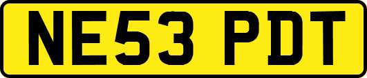 NE53PDT