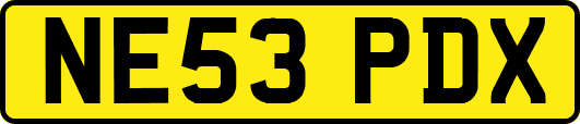NE53PDX