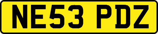NE53PDZ