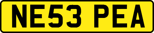NE53PEA
