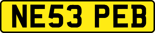 NE53PEB