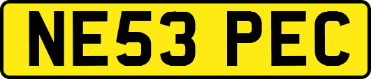 NE53PEC